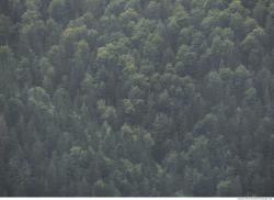 Photo of Mixed Textures